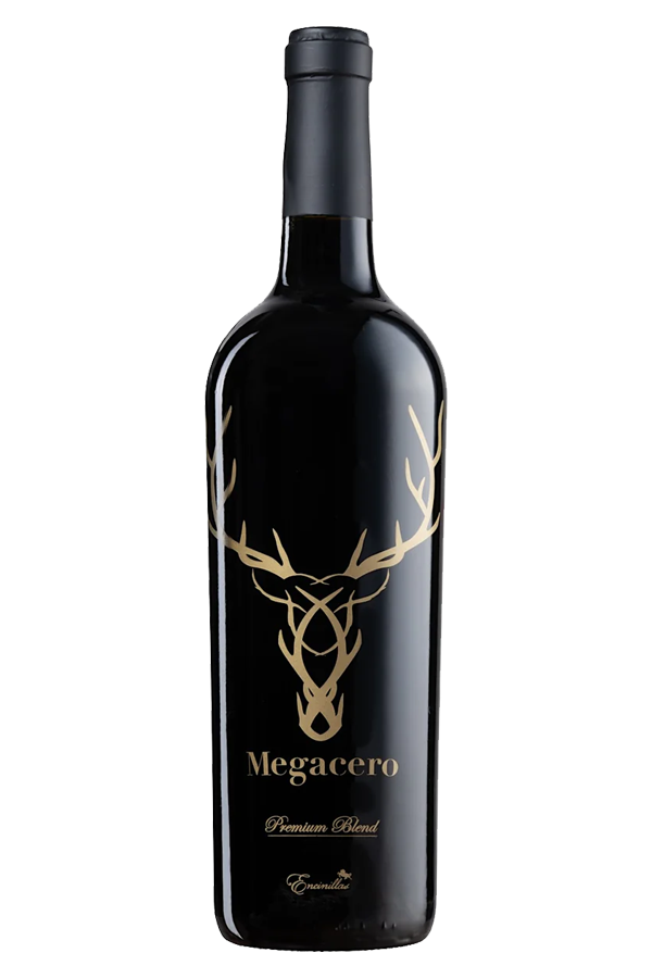 Megacero
